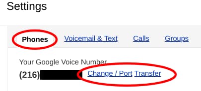 Making this magic Google Voice implementation happen