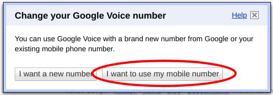 Making this magic Google Voice implementation happen