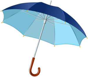 Umbrella Policy - Protecting Your Assets