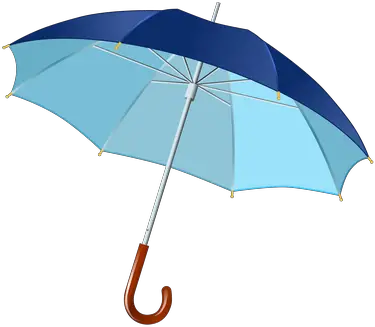 Umbrella Policy