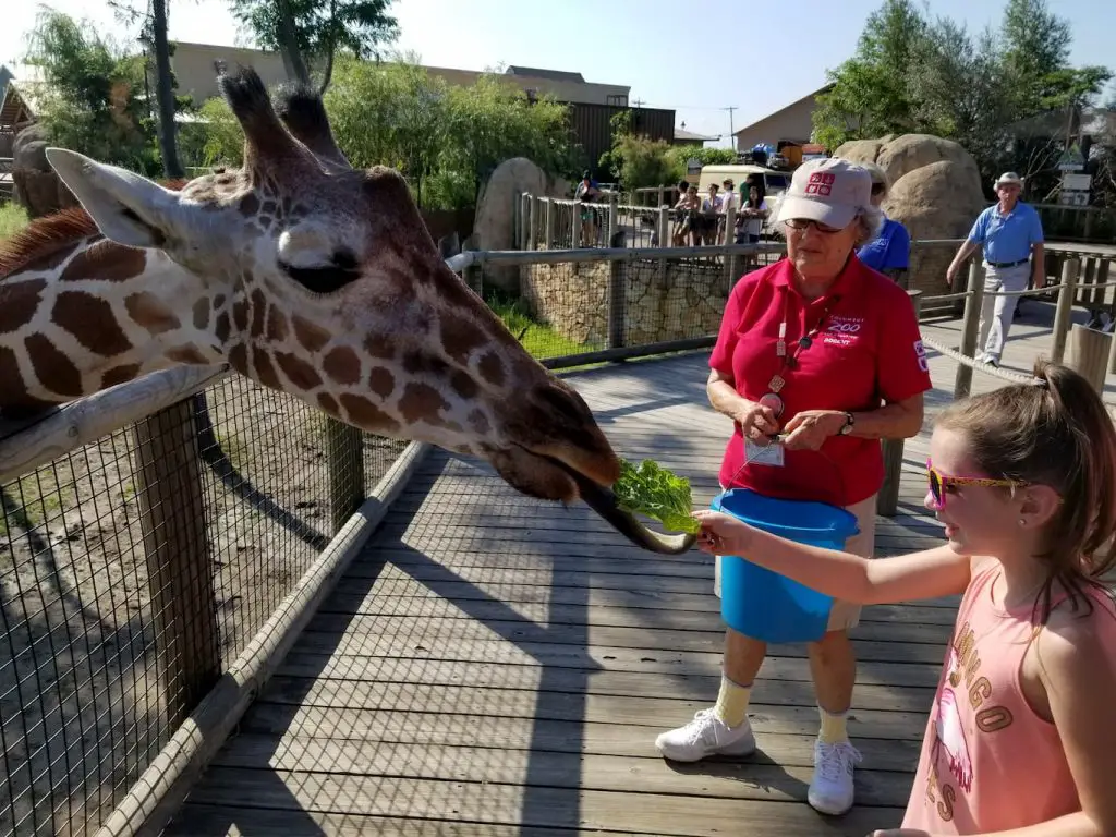 Were We Spending Too Much in July? You Tell Me… - Columbus Zoo