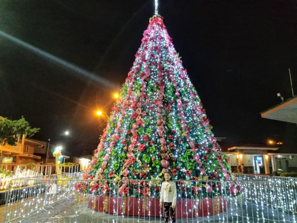 A Christmas Story in Panama… Back in Lockdown! - Festive Boquete, Panama