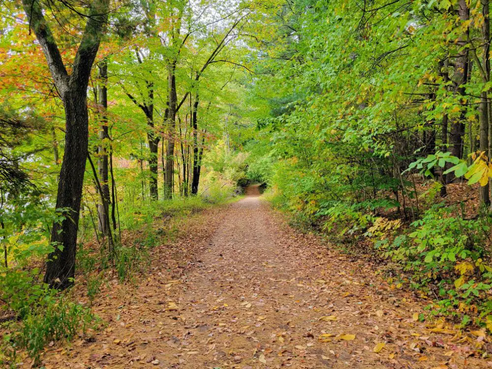It’s Amazing What Being Alone With Your Thoughts on a Walk Can Do for You - Mogadore Reservoir Trail