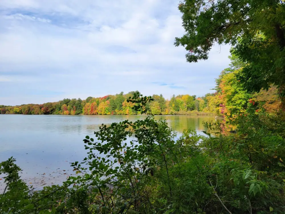 It’s Amazing What Being Alone With Your Thoughts on a Walk Can Do for You - Mogadore Reservoir