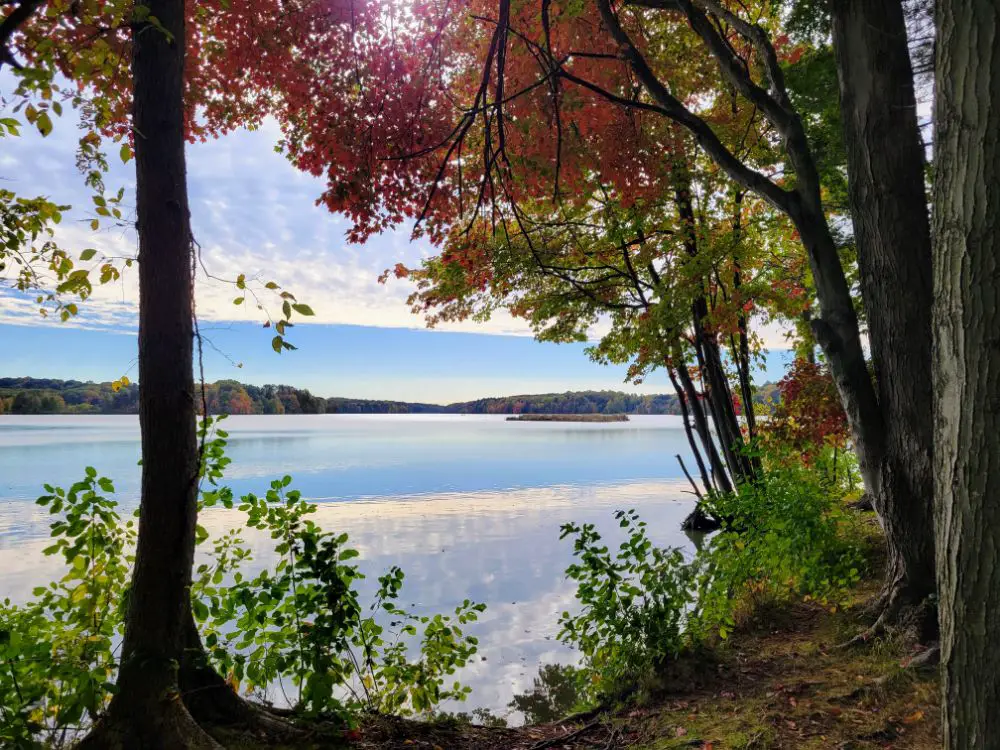 Wellness, Wealth, and Wanderlust: Paving the Way for 2024 - Mogadore Reservoir on a hike