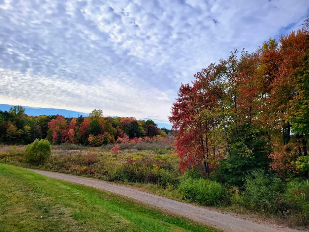 It’s Amazing What Being Alone With Your Thoughts on a Walk Can Do for You - Fall Landscape