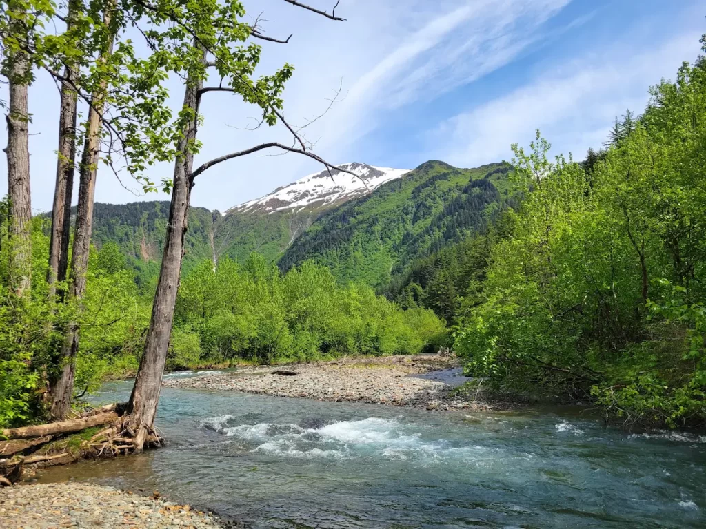 Our Alaska Cruise Was Incredible… But One Thing Left Me Cold - Alaska Scenery