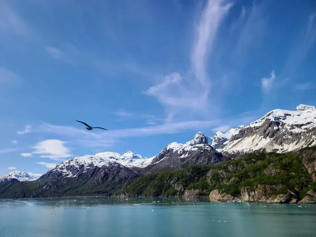 Our Alaska Cruise Was Incredible… But One Thing Left Me Cold - Alaska Scenery