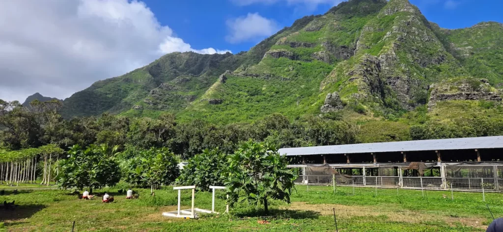 Our Fantastic 2-Week Hawaii Vacation... Would I Go Back Though? - Kualoa Ranch