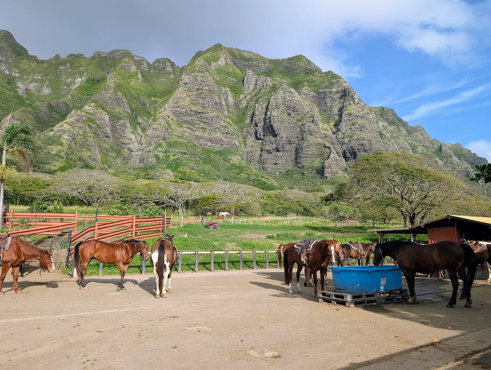 Our Fantastic 2-Week Hawaii Vacation... Would I Go Back Though? - Kualoa Ranch