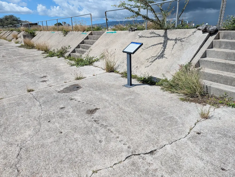 Our Fantastic 2-Week Hawaii Vacation... Would I Go Back Though? - Strafing marks