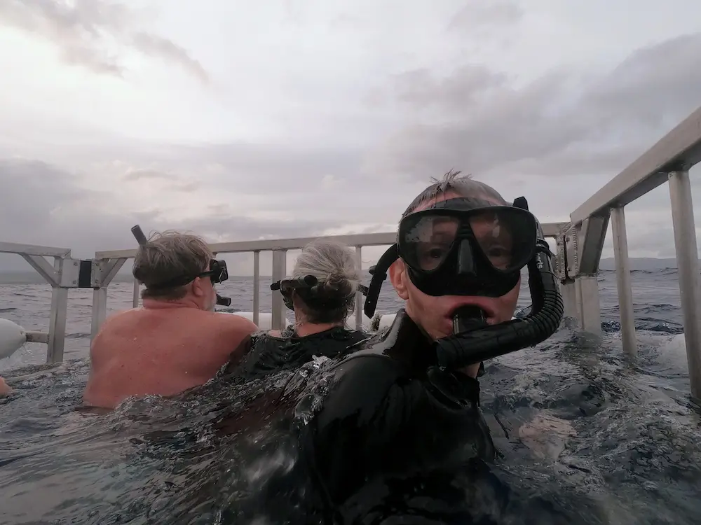 Our Fantastic 2-Week Hawaii Vacation... Would I Go Back Though? - Shark Cage Diving