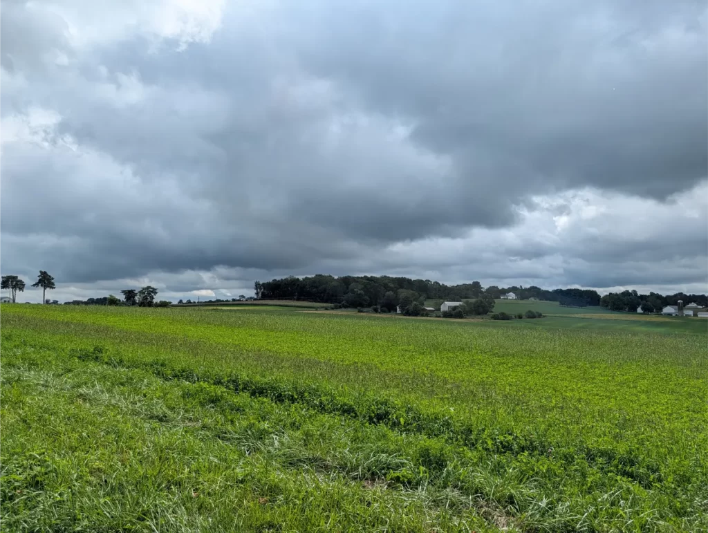 Storm clouds rolling in