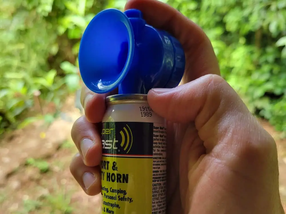 Air horn
