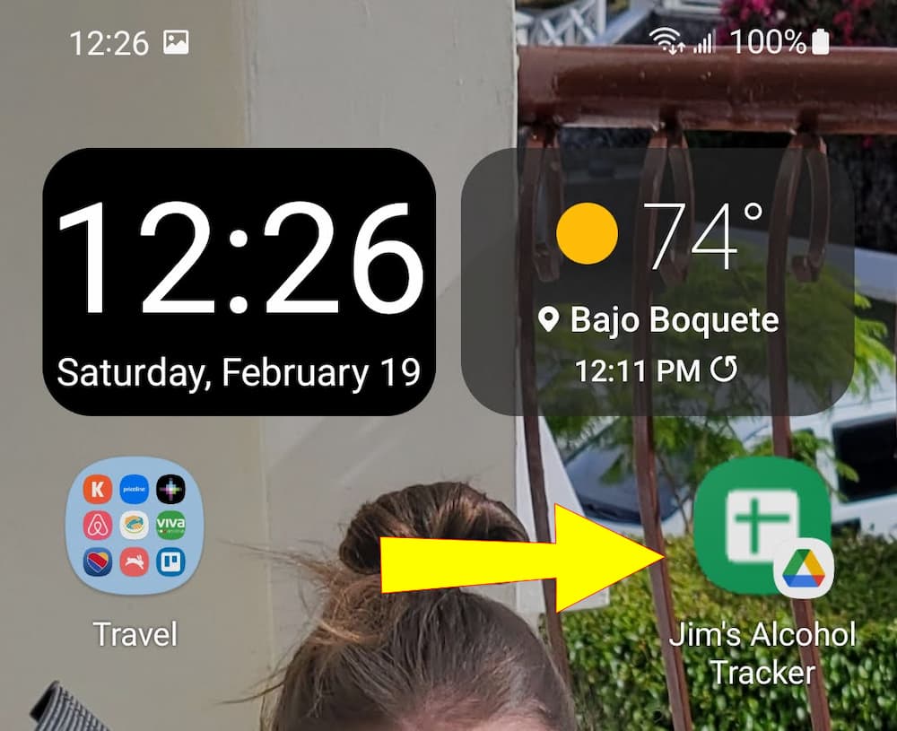 Alcohol tracking spreadsheet shortcut on homescreen