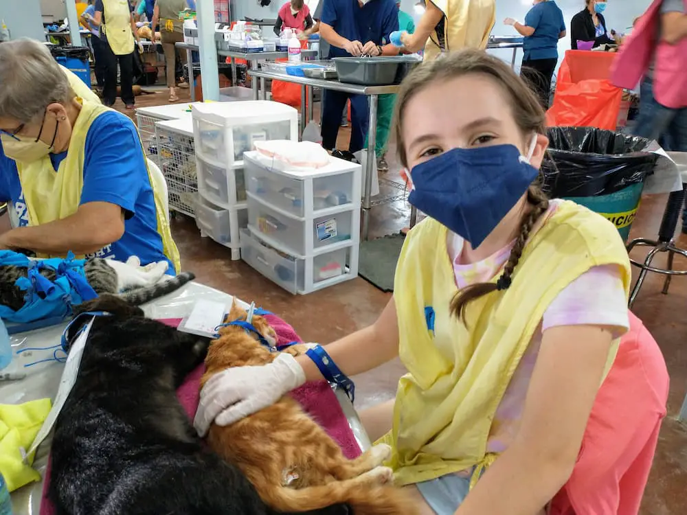 Boquete, Panama vs Ajijic, Mexico… Which Is the Better Place To Live? - Faith working at Amigos de Animales