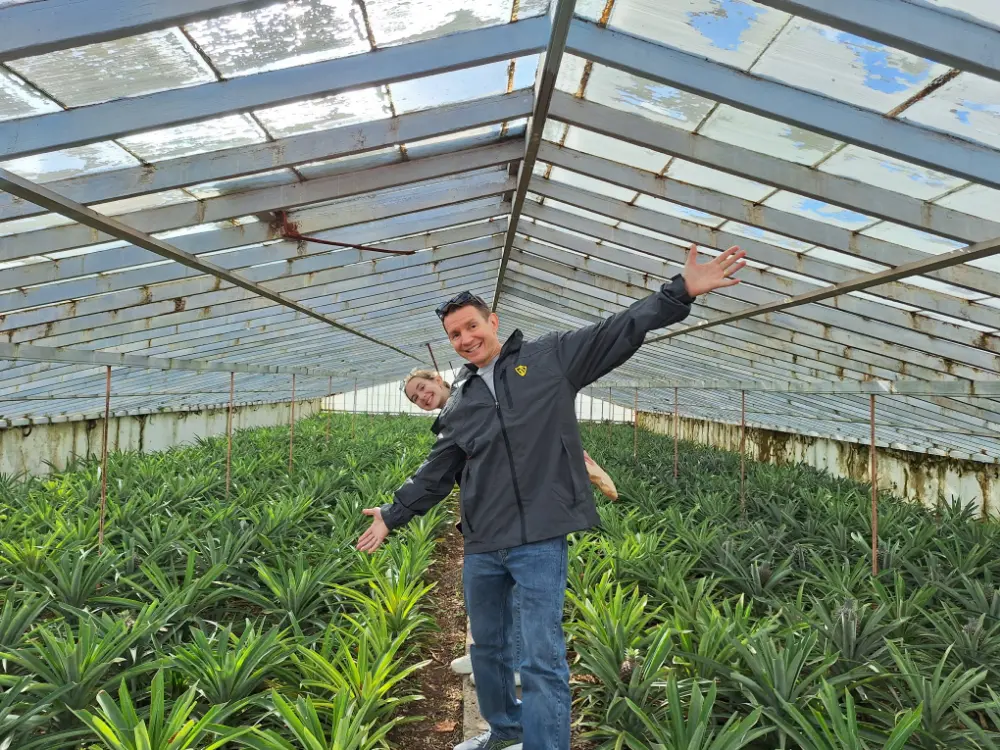 38-Day Europe Trip - Ponta Delgada (The Azores), Portugal - Pineapples at Plantação Ananases A Arruda