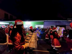 5 Life Lessons from Our First Year of Early Retirement - Boquete Christmas Parade