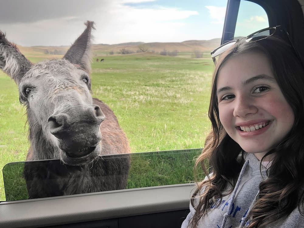 A burro and Fatih
