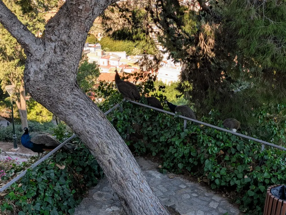 38-Day Europe Trip - Cartagena, Spain