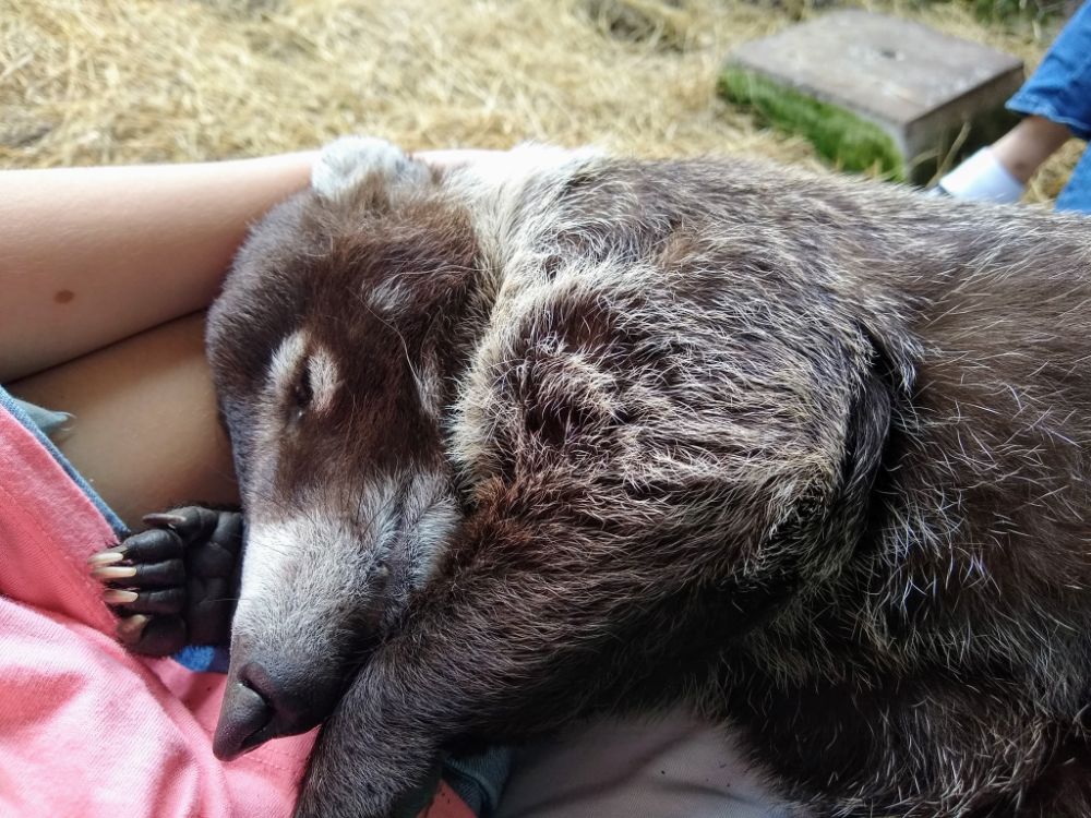 Faith holding a coatimundi