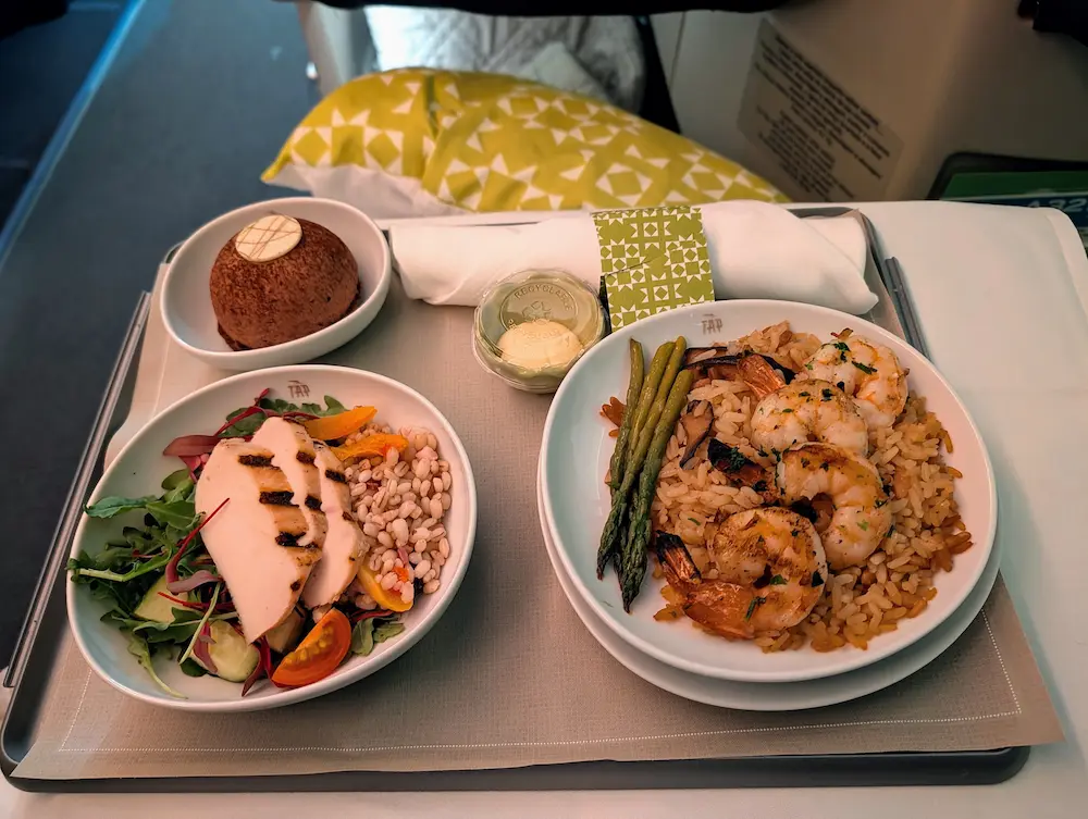 38-Day Europe Trip - Dinner on TAP Portugal Flight