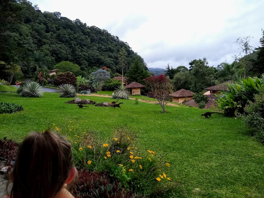 The 7 Reasons I Love Living in Panama as an Expat