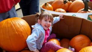 41 Unforgettable Quotes from My Daughter - Part 1 - Faith in the Pumpkin Bin