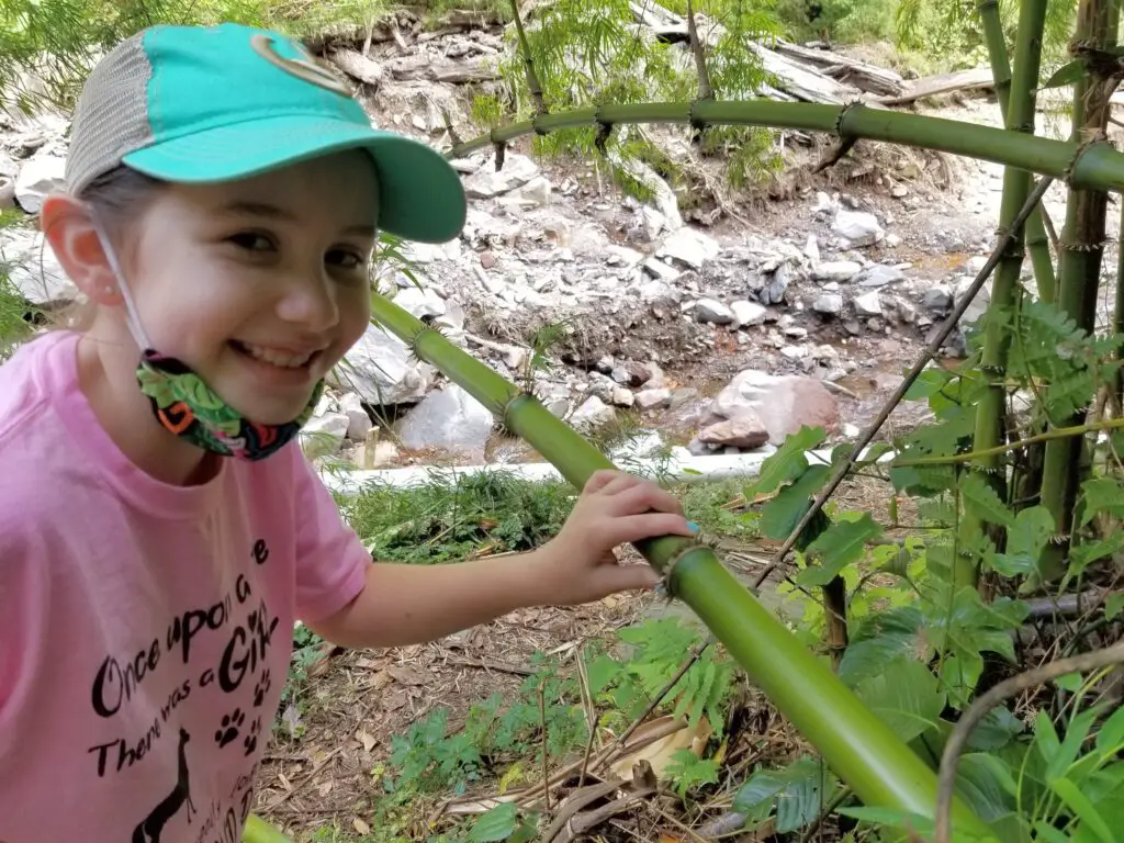 Faith with bamboo on a hike