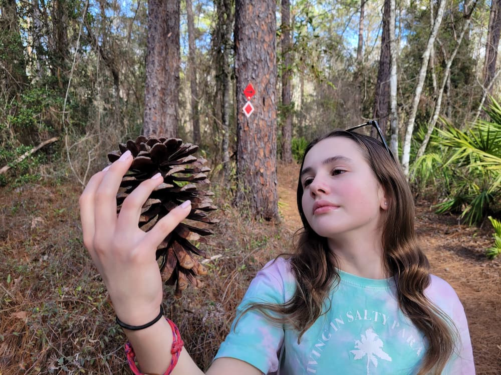 Our RV Trip Was Quickly Becoming a Florida Flop… Until We Shifted Gears - Faith with a pine cone at Laura S. Walker State Park