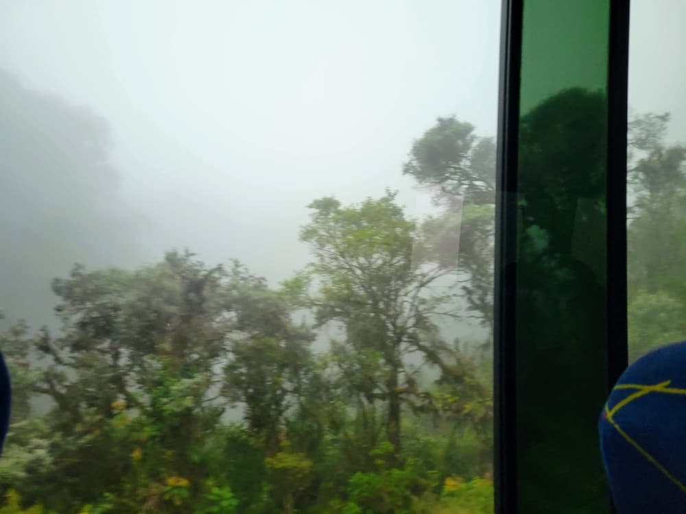We’re on a Bus to Costa Rica Right Now! Here’s Why… - Fog