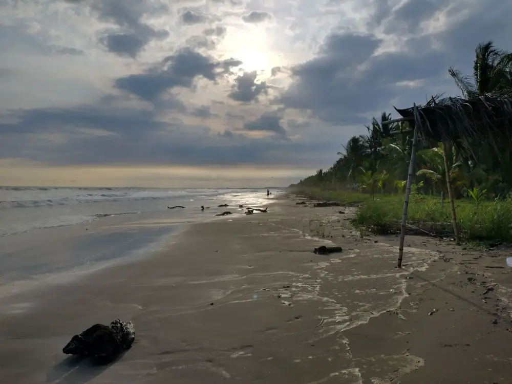 The Beach, a Sloth, and Monkey Lalas... - Las Lajas Beach