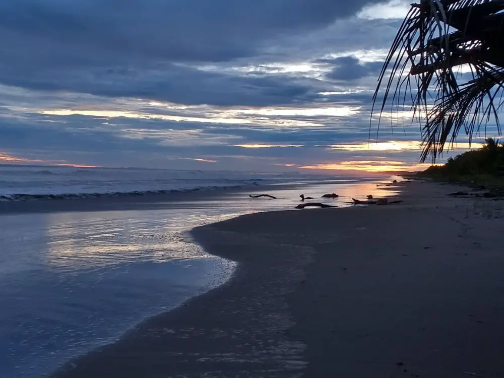 The Beach, a Sloth, and Monkey Lalas... - Las Lajas Beach