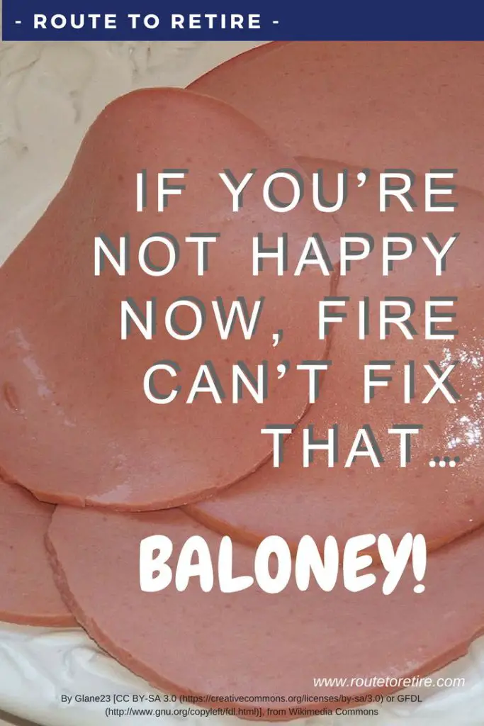 If You're Not Happy Now, FIRE Can't Fix That... Baloney!