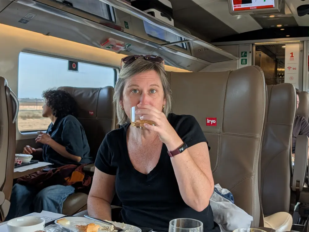38-Day Europe Trip - Iryo train from Barcelona to Madrid