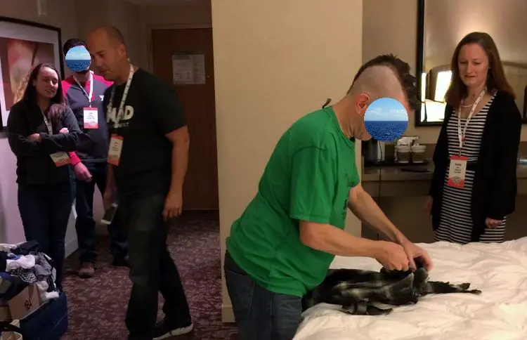 My First 24 Hours with the J. Money Mohawk - The Implementation