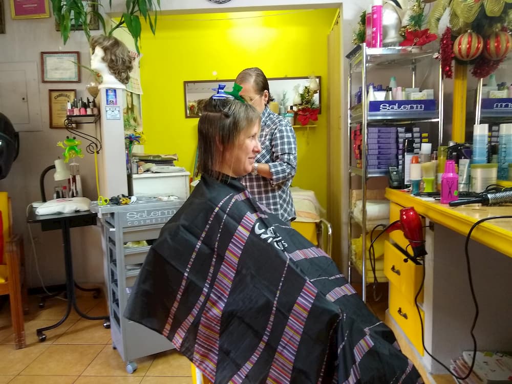 Lisa Getting a Haircut