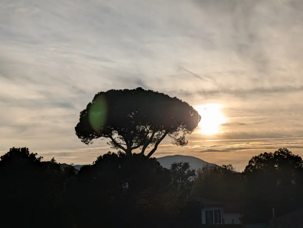 38-Day Europe Trip - Lucca, Italy