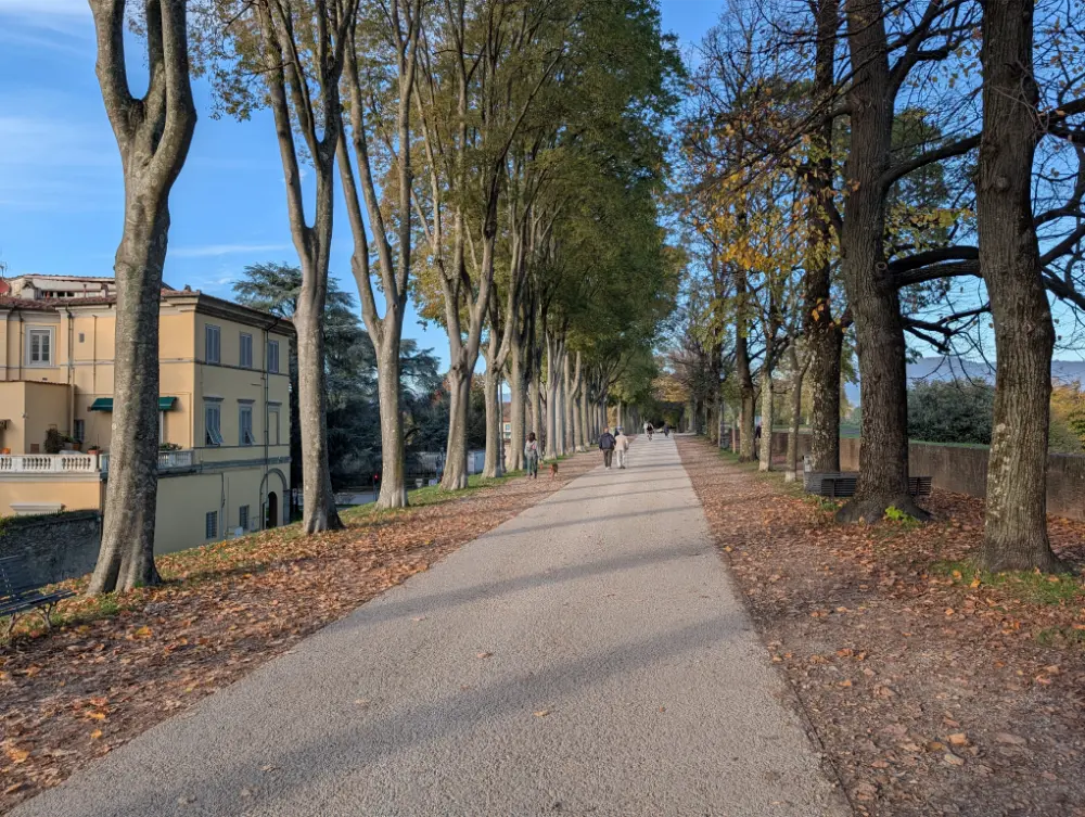 38-Day Europe Trip - Lucca, Italy