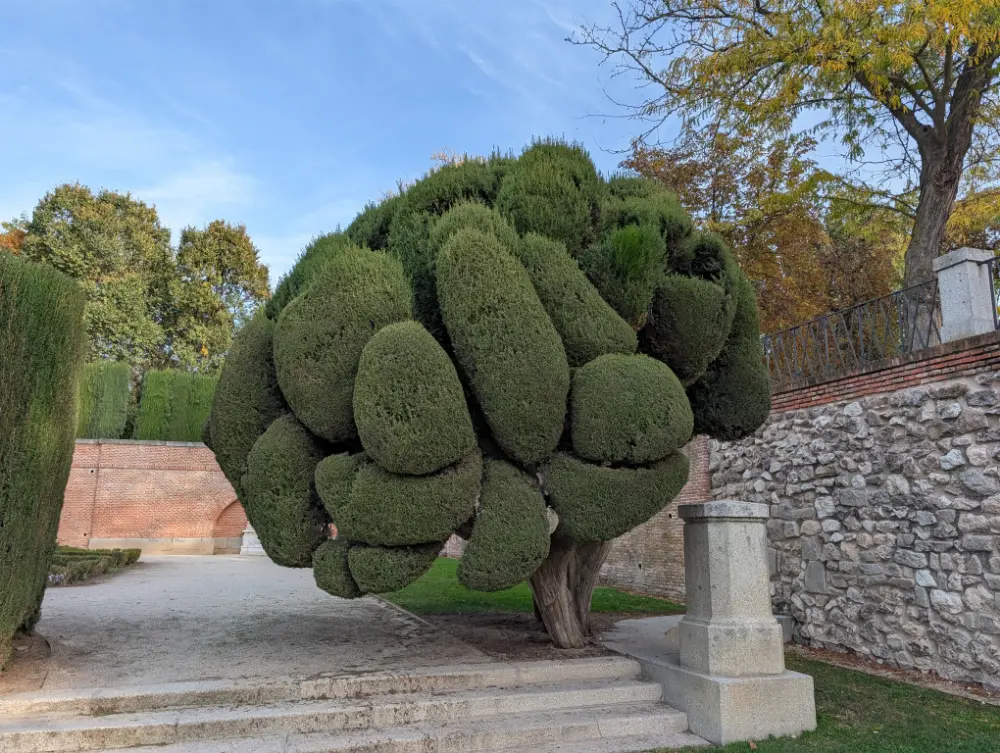 38-Day Europe Trip - Madrid, Spain - Parque del Retiro
