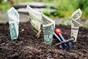 Can You Make Money Blogging? I Am. - How to make money blogging