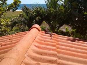 A Beach Vacation Totaling $405? Yes, Please! - Ocean View at Las Olas Beach