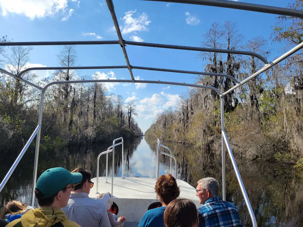 Our RV Trip Was Quickly Becoming a Florida Flop… Until We Shifted Gears - Okefenokee Adventures Boat Tour