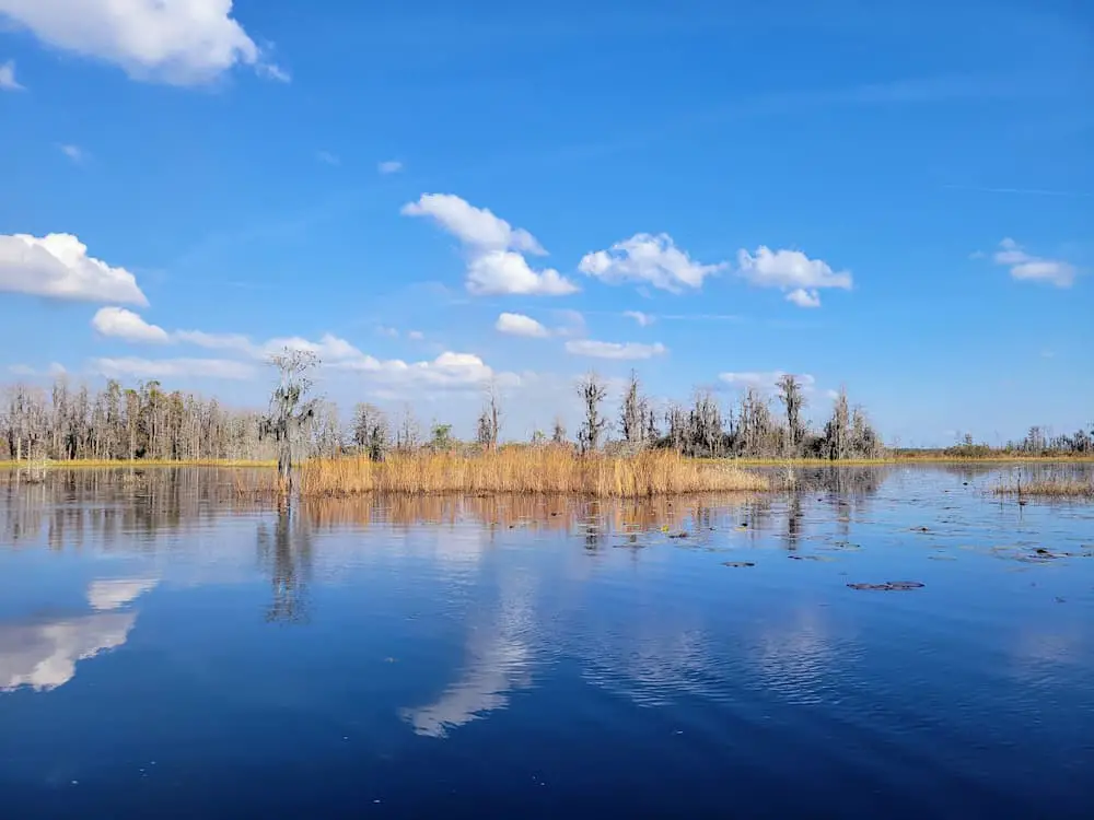 Our RV Trip Was Quickly Becoming a Florida Flop… Until We Shifted Gears - Okefenokee Swamp