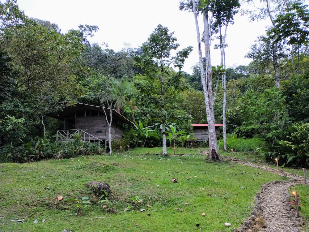 An Epic 2 Nights in the Jungle at Rambala Jungle Lodge - Bungalows