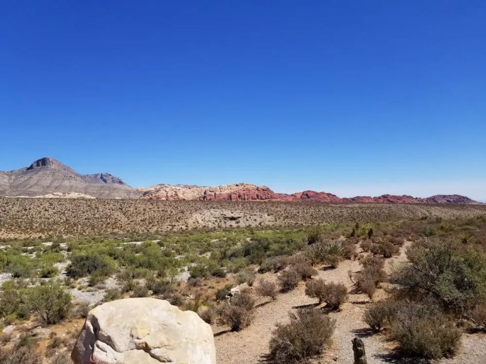 El Paso, Tucson, Viva Las Vegas!! – Road Trip Leg 2 - Red Rock Canyon