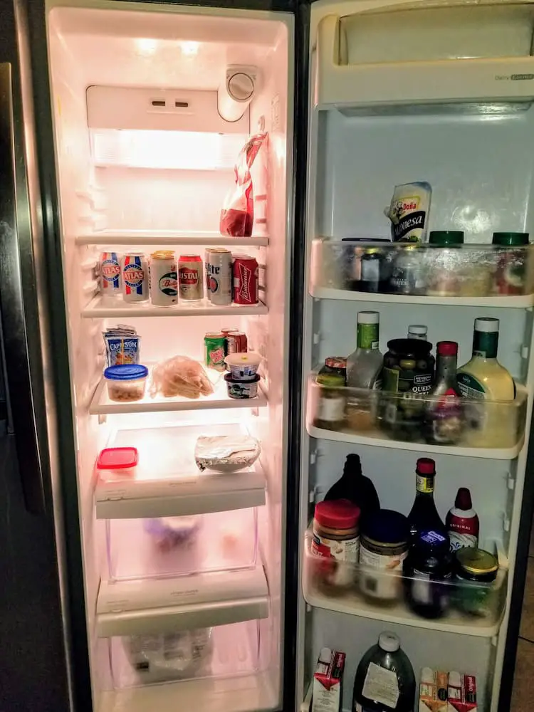 Traveling to Ohio in February… Um, Why?! - Our refrigerator