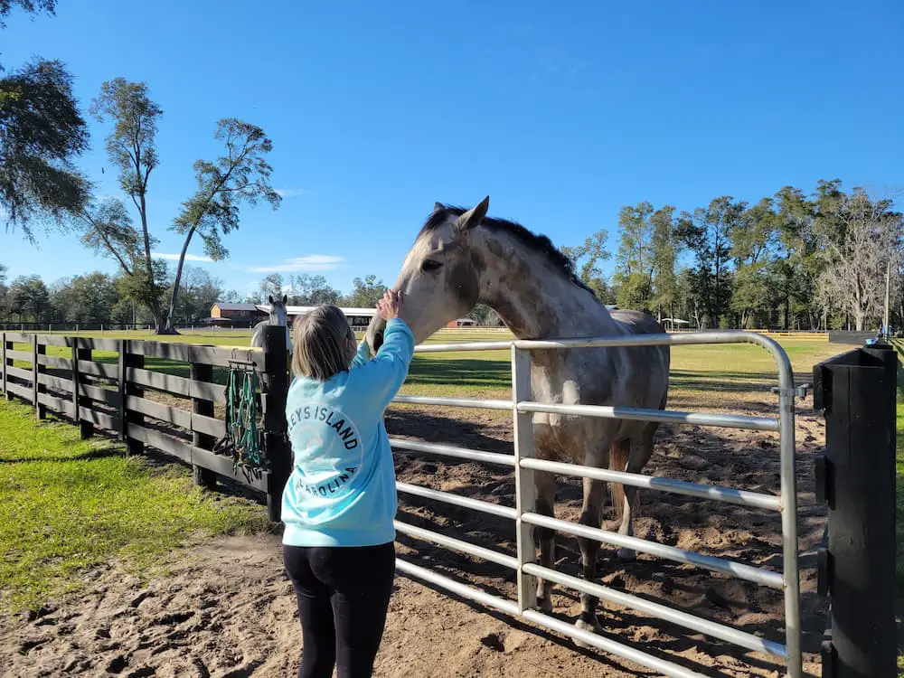 Our RV Trip Was Quickly Becoming a Florida Flop… Until We Shifted Gears - The Ranch at Trader Hill - Lisa petting a horse