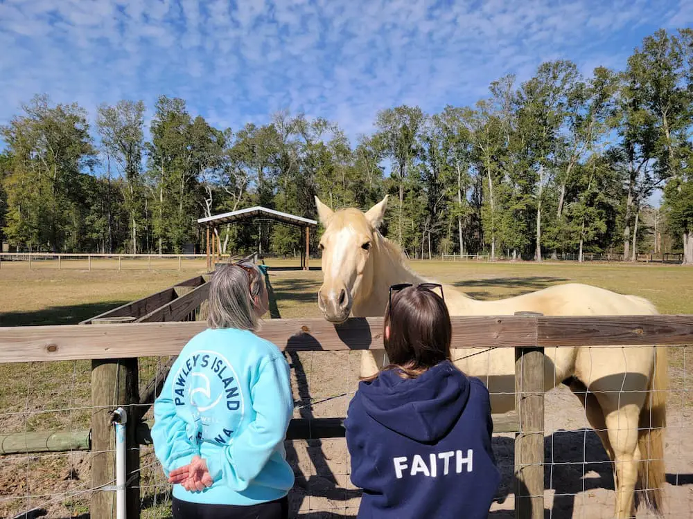 Our RV Trip Was Quickly Becoming a Florida Flop… Until We Shifted Gears - The Ranch at Trader Hill - Lisa and Faith with a horse
