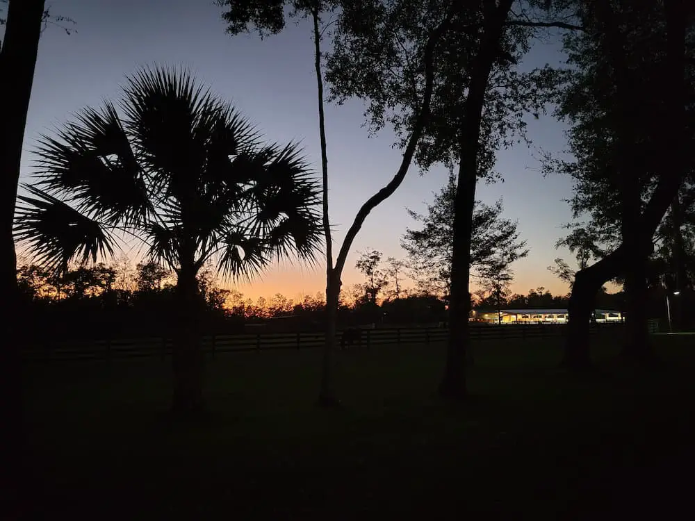Our RV Trip Was Quickly Becoming a Florida Flop… Until We Shifted Gears - Sunset at The Ranch at Trader Hill